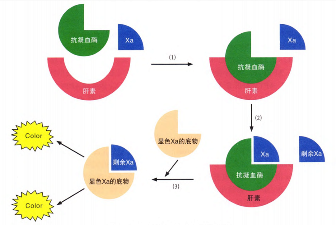 國產(chǎn)抗Xa質(zhì)量如何？多中心臨床研究來告訴你！